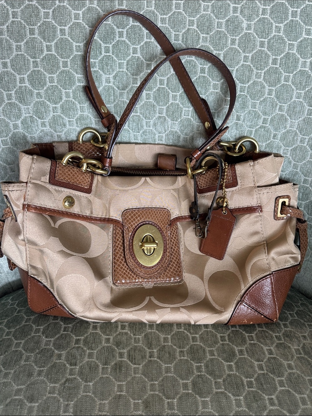 Coach Peyton Signature Canvas Satchel with Python and Leather Trim